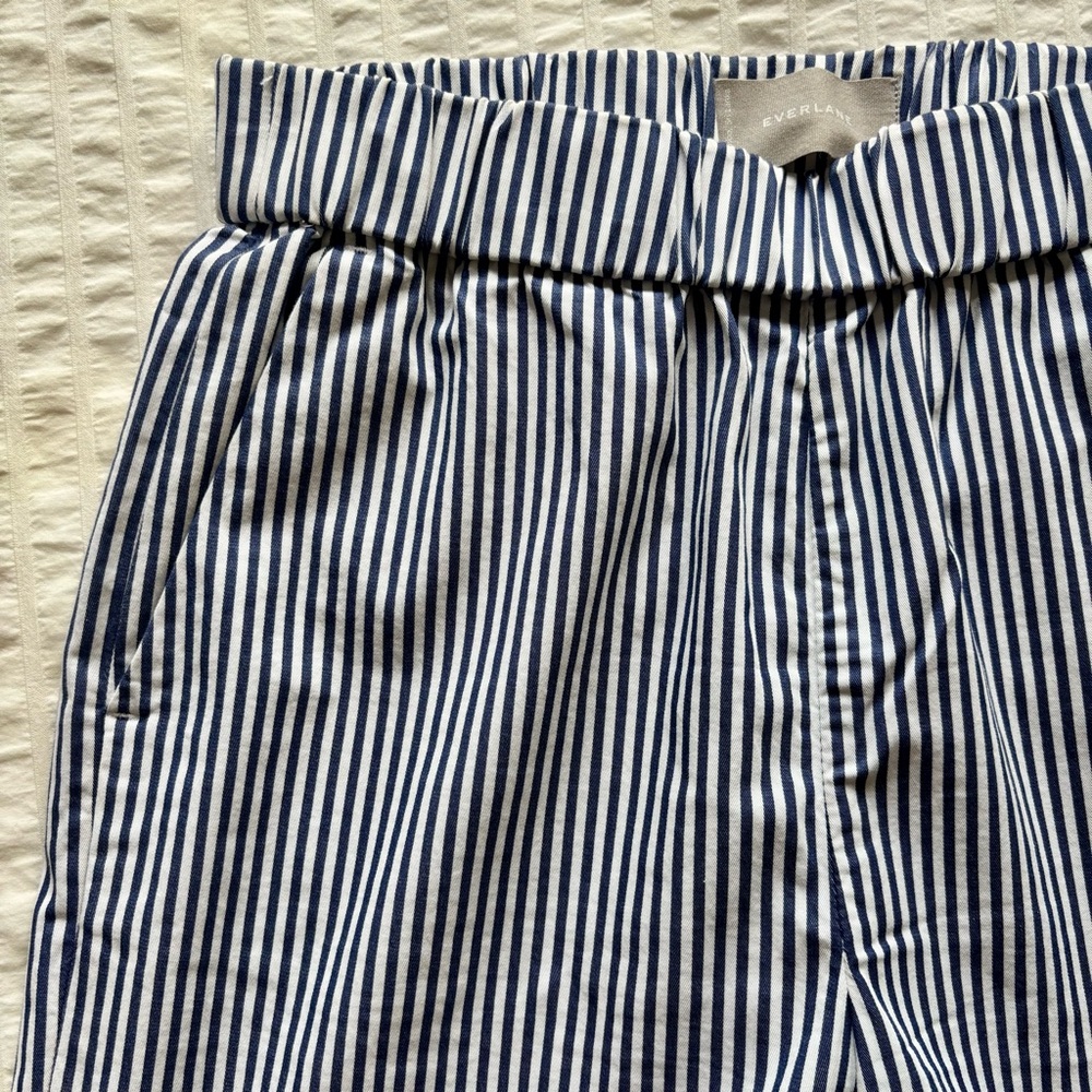 Everlane The Easy Pant in Navy and White Stripe